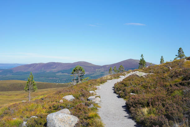 istock Hiking path in the Cairngorm Mountains in Scotland 2178379330