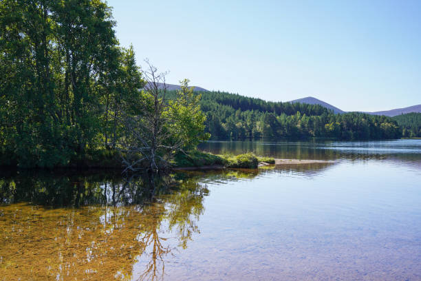 istock Loch Morlich and Glenmore forest in the Scottish highlands 2178379512