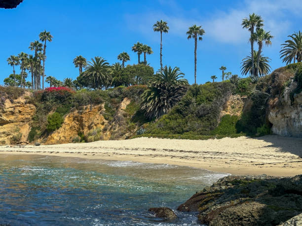 istock Tranquil Beach Cove with Palm Trees and Rocky Cliffs in Laguna Beach, California 2178383505