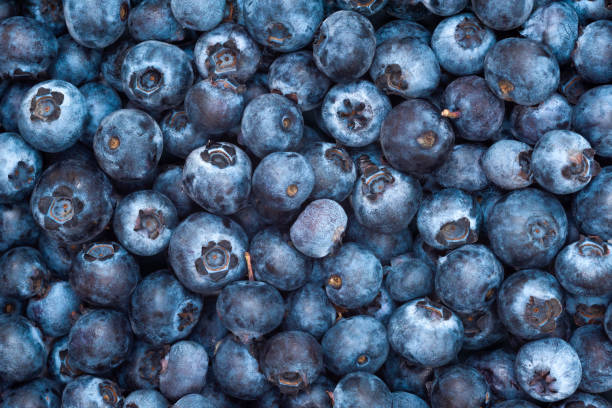 istock Wild blueberries as background. Blueberry berries top view. 2178384240