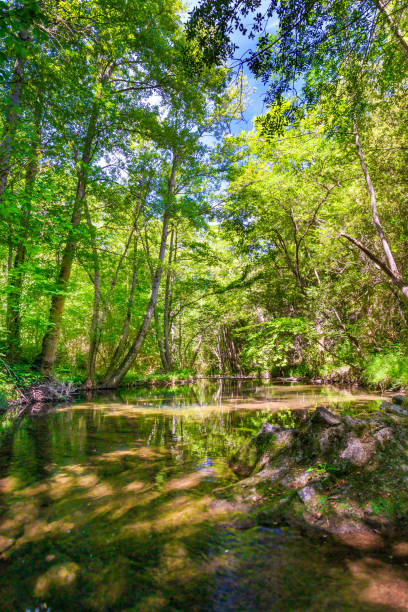 istock Orbieu River in France 2178387781