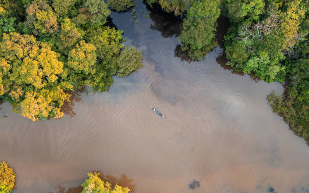 istock DRONE IMAGES OF THE TAHUAYO RIVER IN THE PERUVIAN AMAZON 2178388355