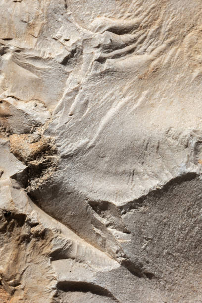 istock Macro photography of rock textures, textures for backgrounds 2178388768