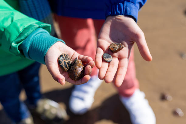 Close-up shot of two boys holding out their hands that are filled with small rocks that they have found on a beach in Saltburn-by-the-Sea, North East England.
