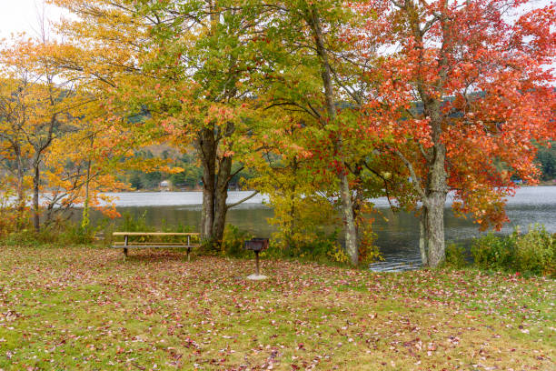 istock Picnic table and BBQ grill under colourful autumnal trees in a lakeside park 2178389612