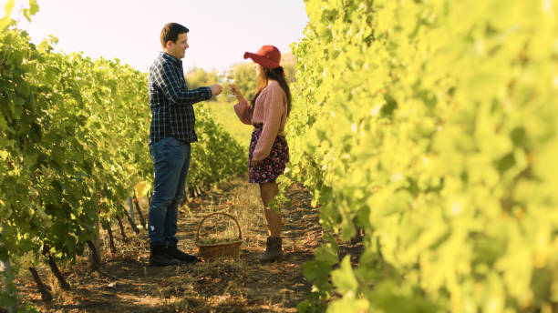 istock Caucasian couple clinking glasses in a vineyard 2178389623