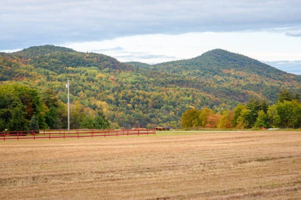 istock Harvested field in a mountain setting under partly cloudy sky in autumn 2178389655