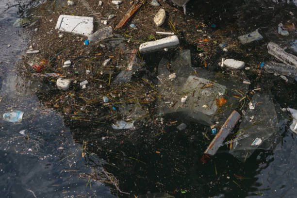 istock Floating debris and pollution in a body of sea. 2178390719