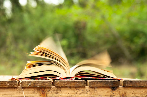 Open book in autumn leaves