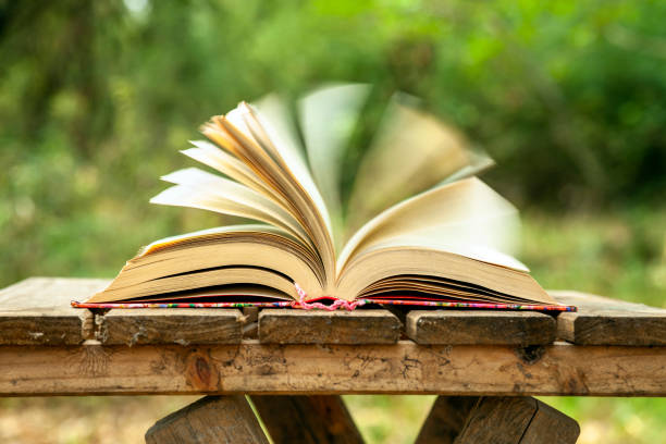 istock Open book in autumn leaves 2178394753