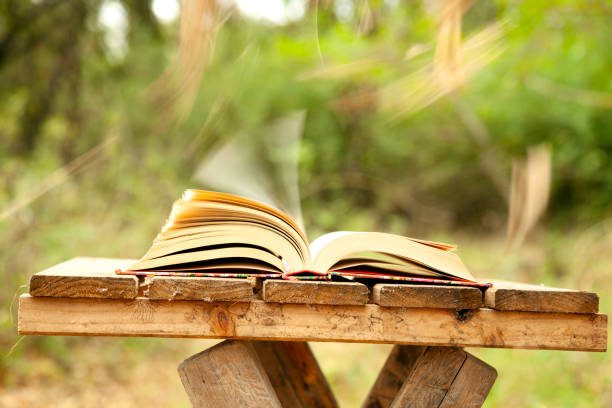 istock Open book in autumn leaves 2178394758
