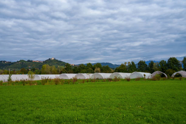 Country landscape at Curone and Montevecchia park, in Lecco province, Brianza, Lombardy, Italy, at October