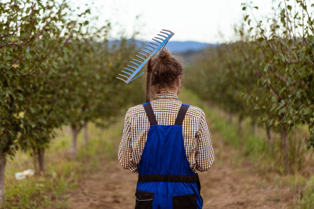 Young man dressed in a protective suit with a rake going for a stroll down the orchard