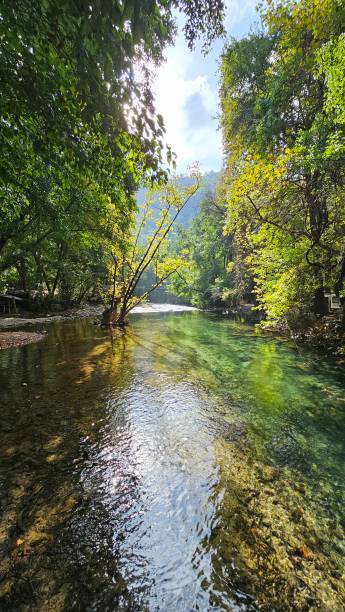 istock A green valkey with a creek 2178398378