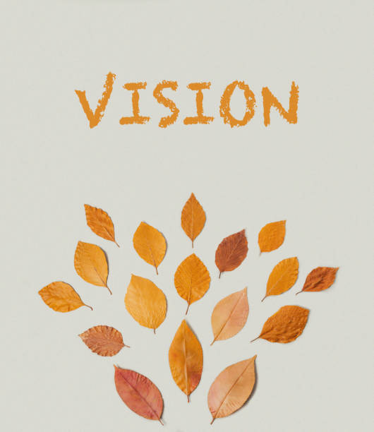 A large number of leaves arranged in a circle, with the word vision written in orange letters at the top. The leaves are of various sizes and colors, creating a sense of depth and texture