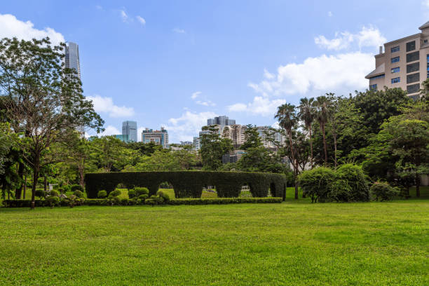 istock A meadow in a park in Shenzhen, China 2178399802