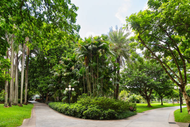istock Park alleys in Shenzhen, China 2178399837