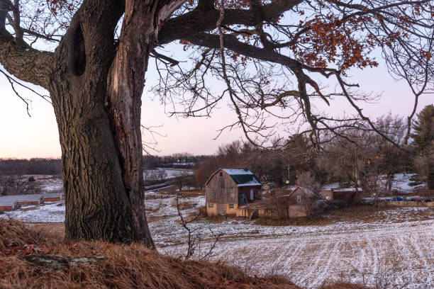 Winter scene of farm country in Southwestern Wisconsin's Driftless region