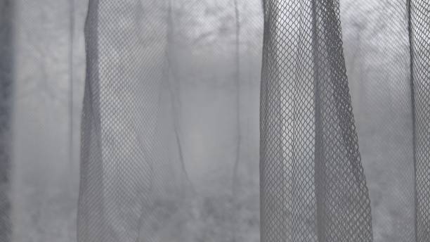 istock Delicate Mesh Curtains Billow Gently in a Serene, Misty Outdoor Setting 2178403110