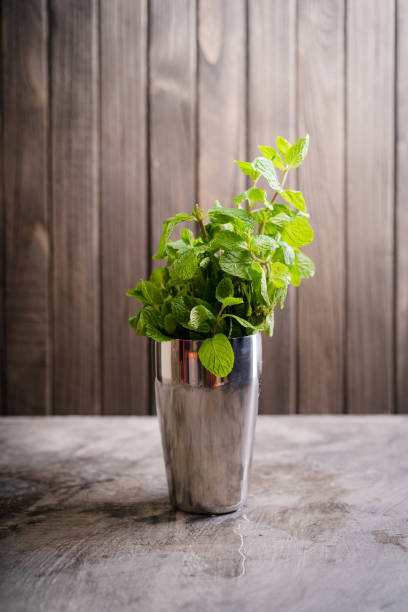 istock Bartender equipment for making alcoholic summer mojito cocktail with mint leave, lime, shaker, jigger, muddler, and ice cube. 2178404624