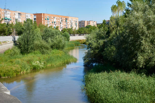 istock Lush vegetation in the riverbed of Madrid 2178407800