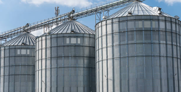 istock The agro-processing plant showcases multiple silos, strategically positioned for storing freshly harvested grains, ensuring optimal preservation and accessibility 2178411375