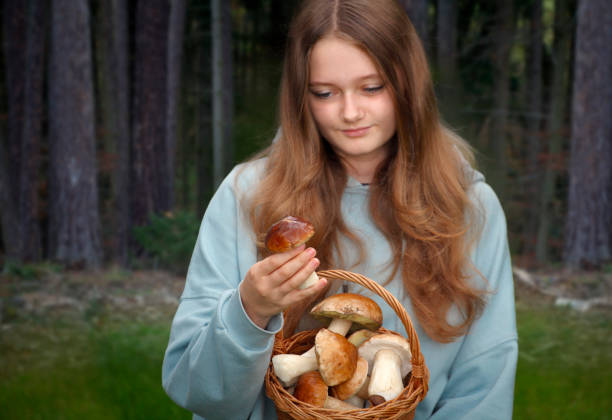 Young girl picking mushrooms in the forest