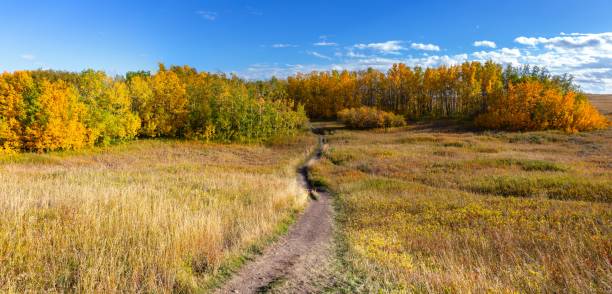 istock Nose Hill Calgary Alberta Urban City Park Panoramic Landscape 2178414650