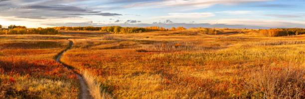 Nose Hill Calgary Alberta Urban City Park Panoramic Landscape