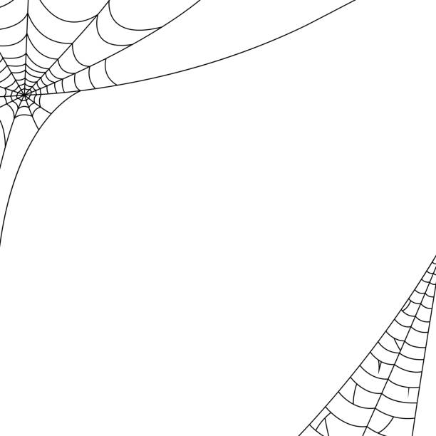 Halloween spider web card, background, cobweb design. Vector Halloween spider web card, background, cobweb design. Vector illustration. halloween border stock illustrations