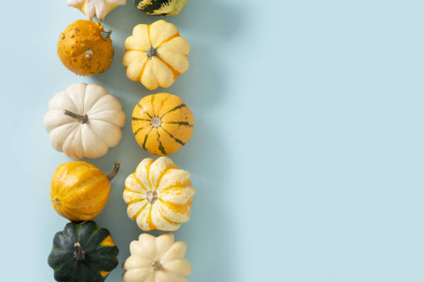 istock Autumn white and green pumpkins as pattern for Thanksgiving day or Halloween. 2178419793
