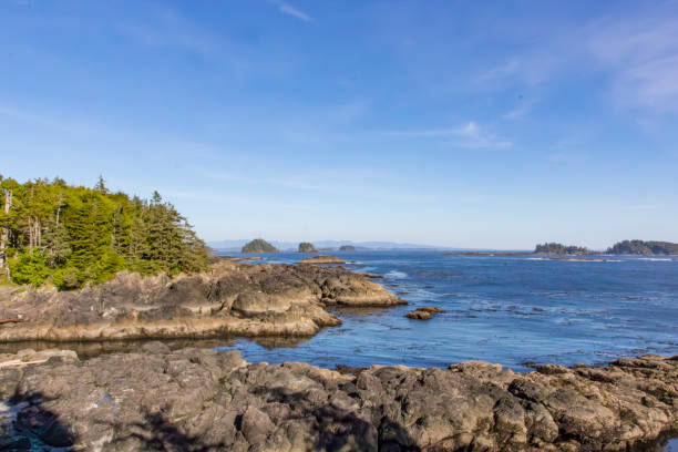 istock Wild Pacific Trail, Ucluelet, Vancouver Island, Canada 2178420272