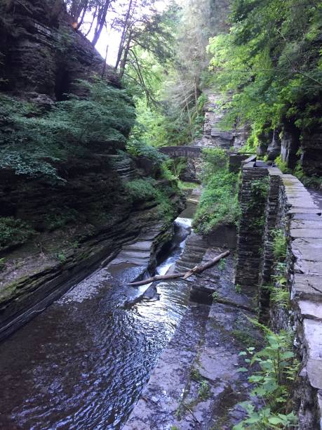 Water cascades down many waterfalls in this beautiful, natural park.