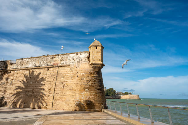 istock city ​​wall with palm tree shadow at the coast in Cadiz 2178422079