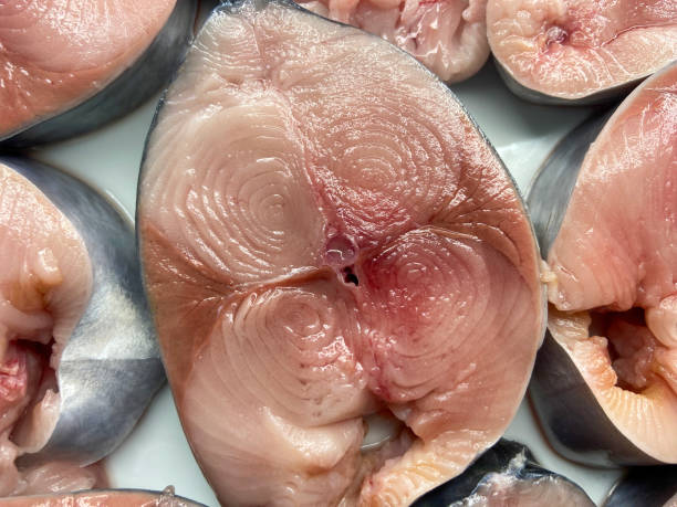 istock Fresh tuna fillets. Bonito fish slices 2178423763