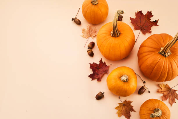 istock Thanksgiving day, harvest, autumn and fall background. Top view 2178424425