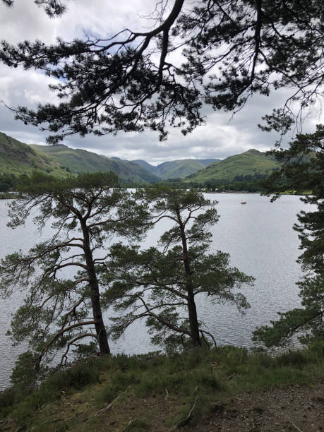 istock When water, trees and landscapes meet 2178426478