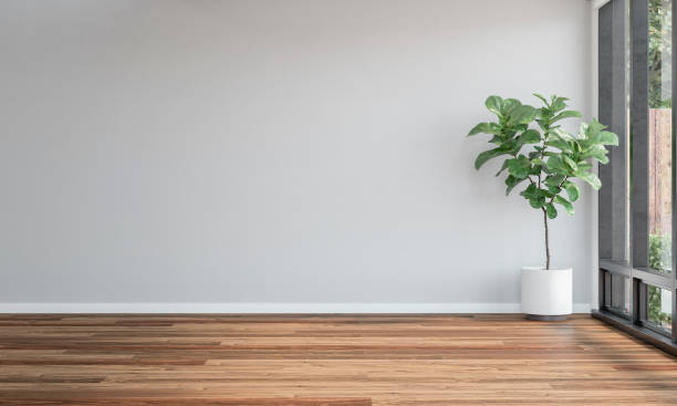 istock A side view of a modern empty unfurnished interior with a white empty wall bakground with copy space, a potted plant ficus lyrata, a garden view through windows in the background 2178427421