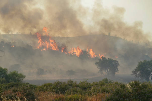 istock Forest Fire in Gallipoli, Canakkale, Turkiye 2178429496
