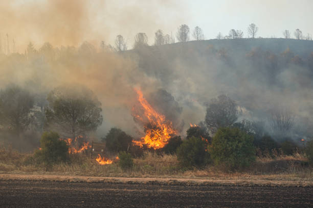 istock Forest Fire in Gallipoli, Canakkale, Turkiye 2178429712
