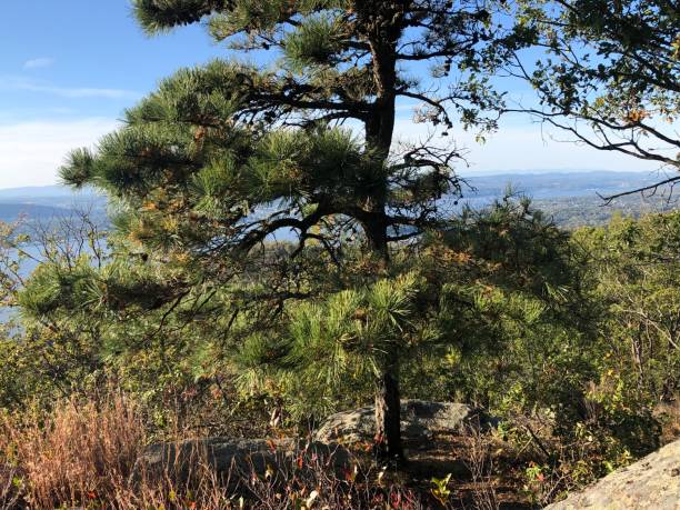 istock Fall Foliage during First Week of October at Breakneck Ridge at Hudson Highlands State Park Preserve in New York State. 2178434689