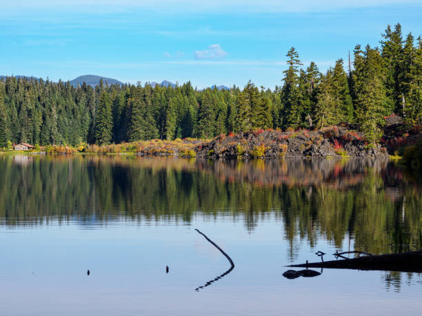 Beautiful clear water and shore line with evergreen trees. Colorful broad leaf bushes and lava rock on waters edge. Clear lake is the headwaters for the McKenzie River. The closest large town is Eugene Oregon, its address is listed as Sisters Oregon. Water is extremely clear and cold. Edited.