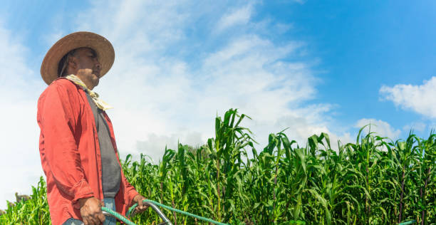 Team Agriculture: Farmer and Horse Planting Corn