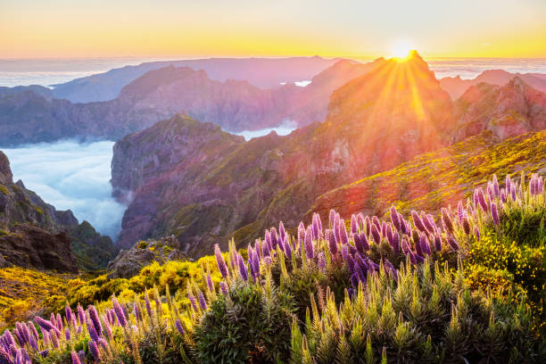 istock View from Pico do Arieiro, Portugal 2178438570