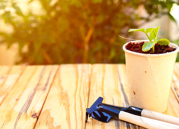 istock Minimalist garden tools set on wooden table with sunlight blurred background. 2178444603