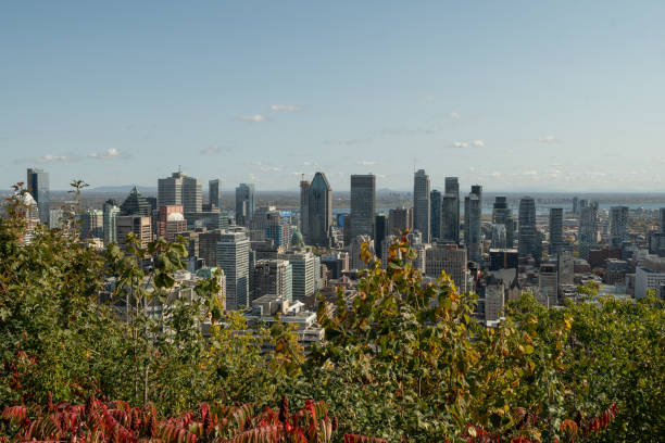 istock Mont Royal parc in Montreal Canada 2178445527