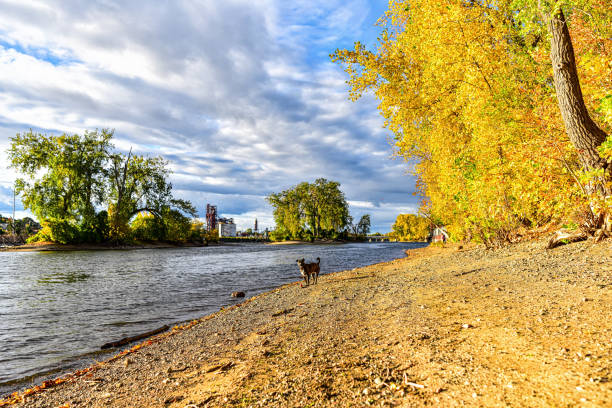 Autumn Colors on Riverfront in Minneapolis Minnesota