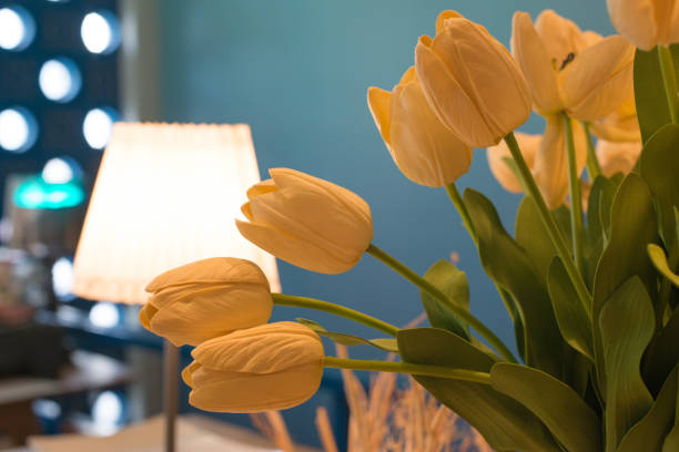 yellow tulips in pot and lamp