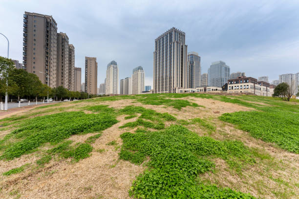 city park with modern building background in shanghai
