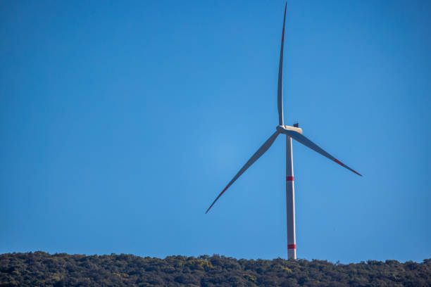 View of turbines in a wind field.